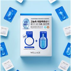 Wellage Real Hyaluronic One-Day Kit 7ea (Capsule: 15mg/Solution: 1mlX7ea)