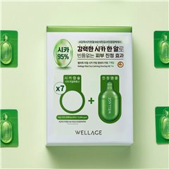 Wellage Real Cica Calming One-Day Kit 7ea Capsule: 15mg Solution: 1mlX7ea