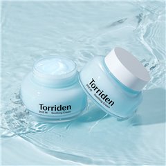 Torriden Divein Low Molecular Hyaluronic Acid Soothing Cream 100ml 100ml