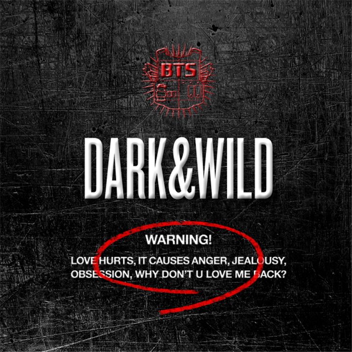 BTS 1st Album / DARK&WILD )