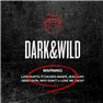 BTS 1st Album / DARK&WILD )